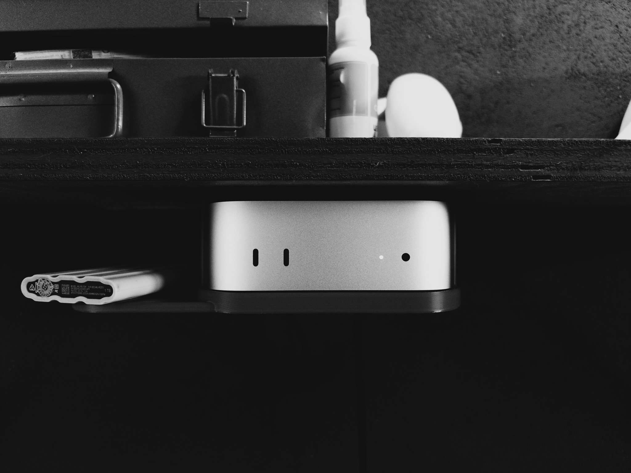 The dedicated Mac Mini that runs the agent and local services